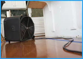 Hollywood Restoration Expert Hollywood, FL 954-414-0630 - cont-service-wgr-1