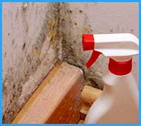 Hollywood Restoration Expert Hollywood, FL 954-414-0630 - hollywood