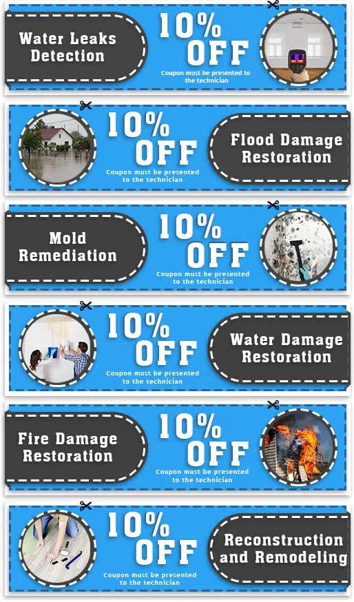 Hollywood Restoration Expert Hollywood, FL 954-414-0630