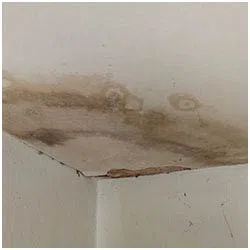 Hollywood Restoration Expert Hollywood, FL 954-414-0630 Hollywood Restoration Expert Hollywood, FL 954-414-0630